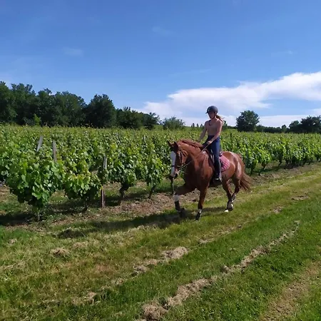 Le De Leonard Διαμέρισμα *