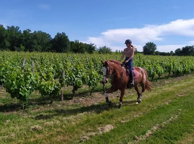 Le De Leonard Apartament *